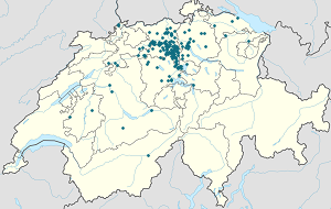 Karte von Aarau mit Markierungen für die einzelnen Unterstützenden